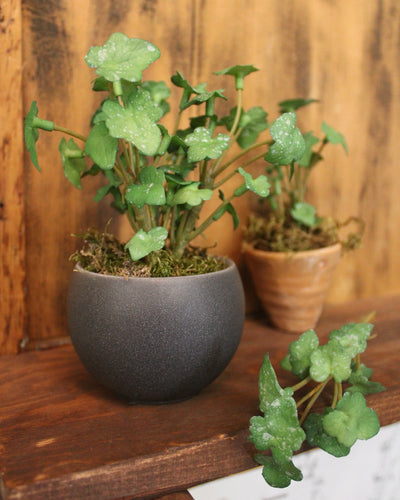 Mini Ivy Sprig