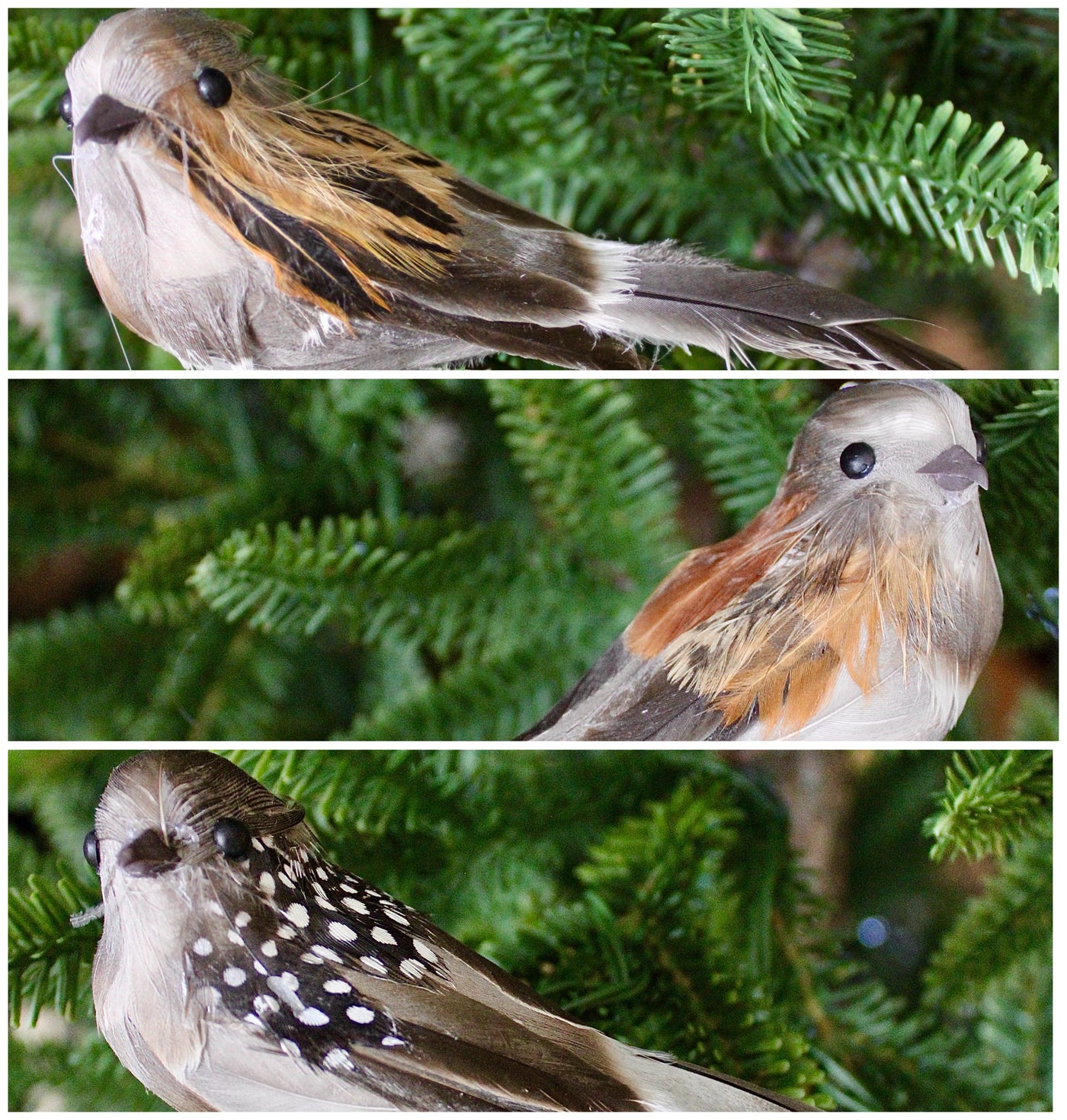 Long Tail Bird Ornaments