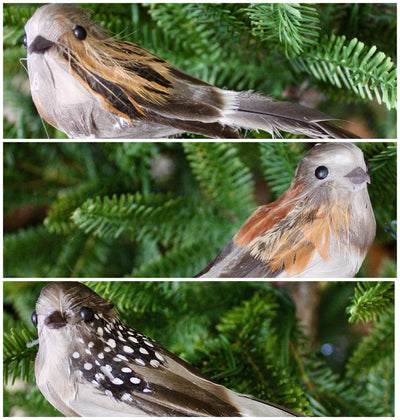Long Tail Bird Ornaments