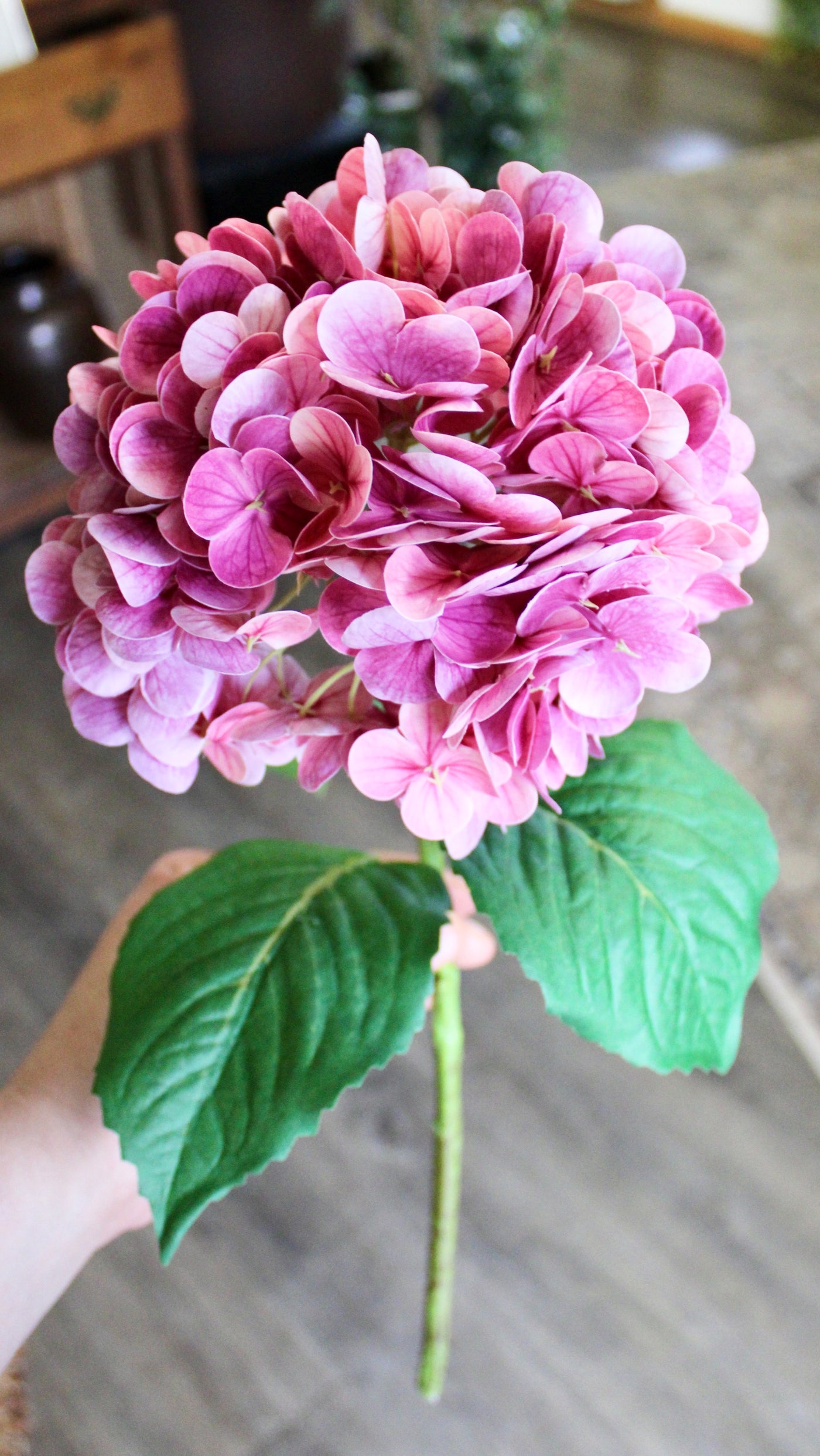 Magenta Hydrangea Stem