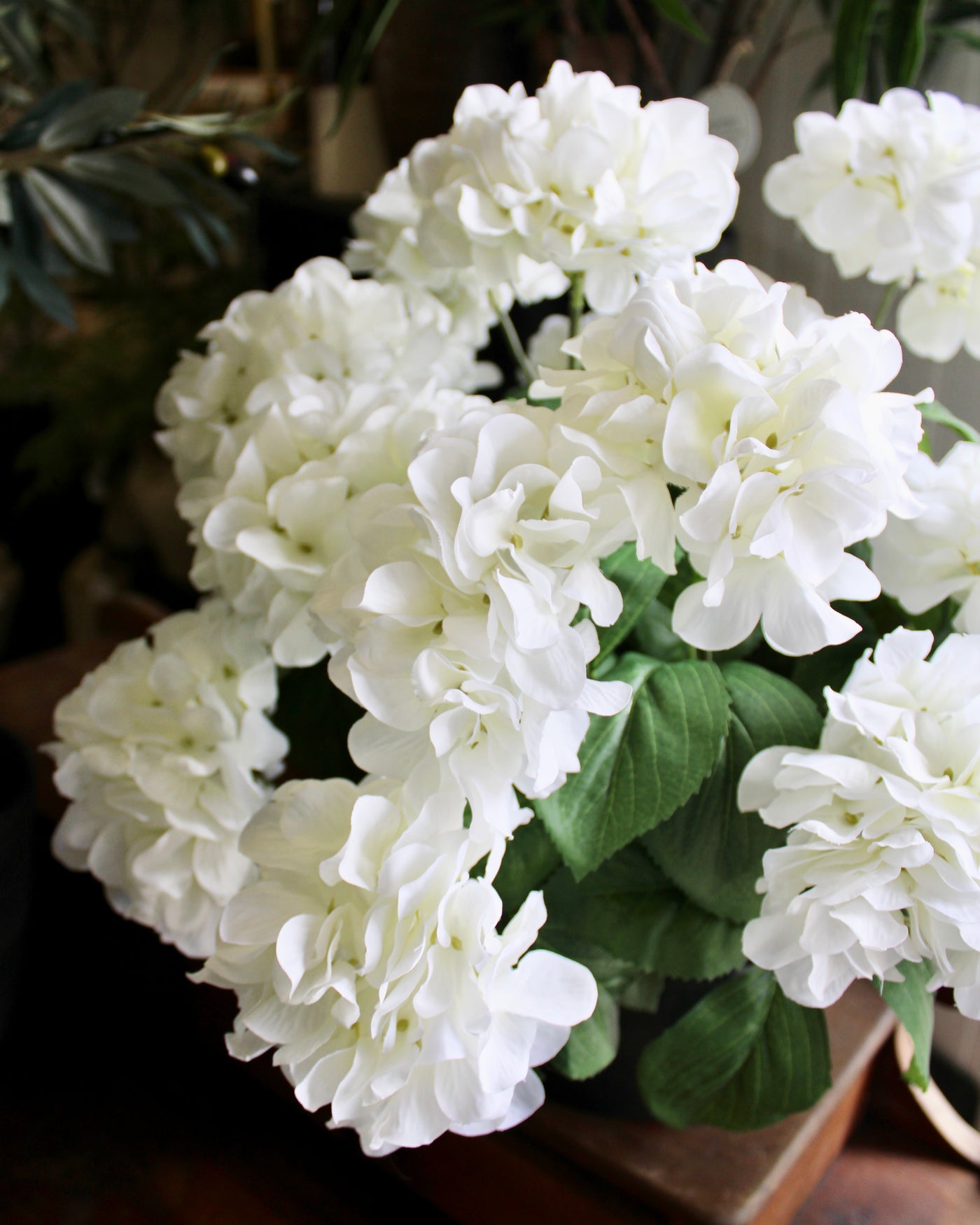 White Hydrangea Bush