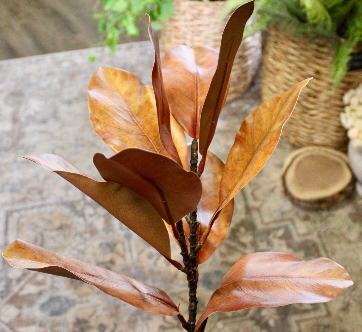 Large Brown Magnolia Spray