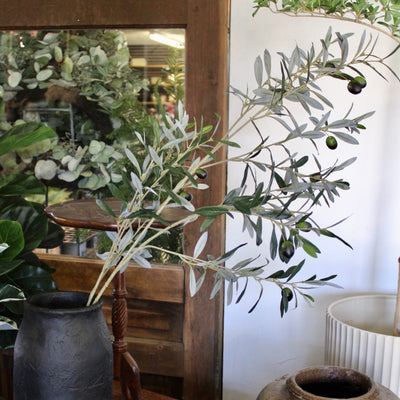 Olive Spray