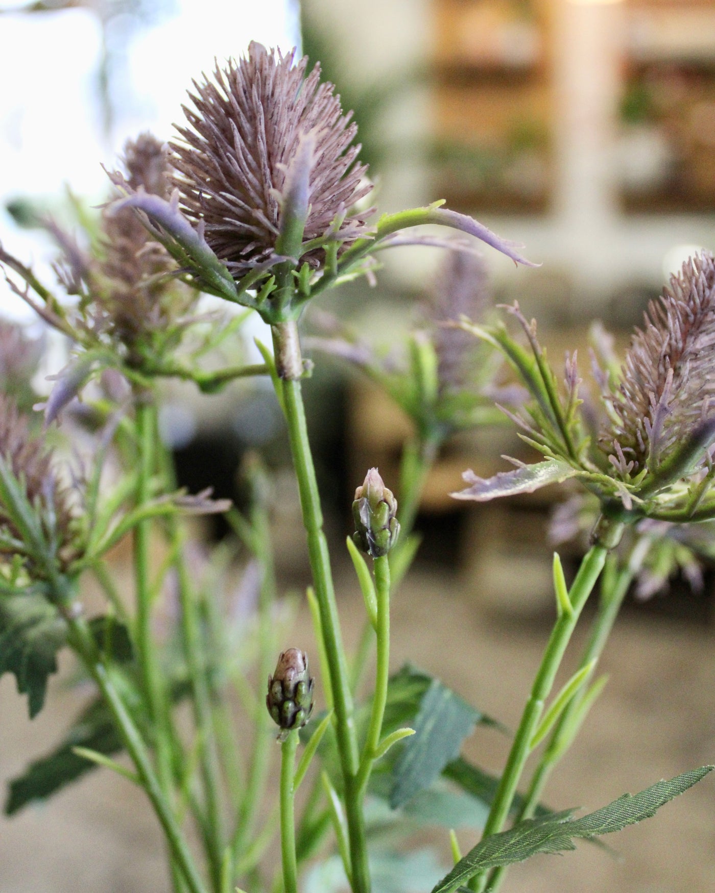 Purple Thistle Spray