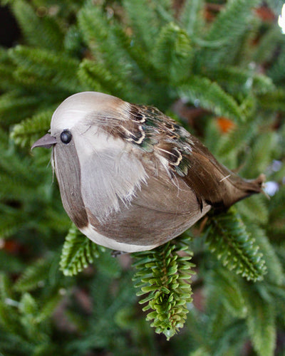Plump Bird Ornaments