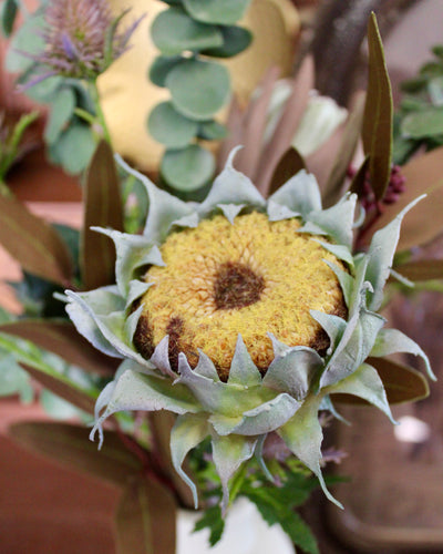 Sunflower Bouquet in Bottle Vase
