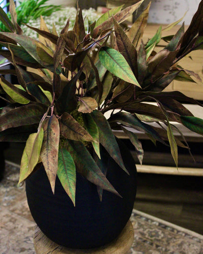 Green/Brown Willow Eucalyptus Spray