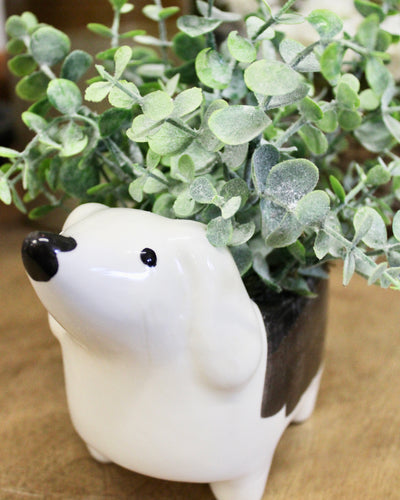 Ceramic Dog Boxwood Arrangement (Piper)