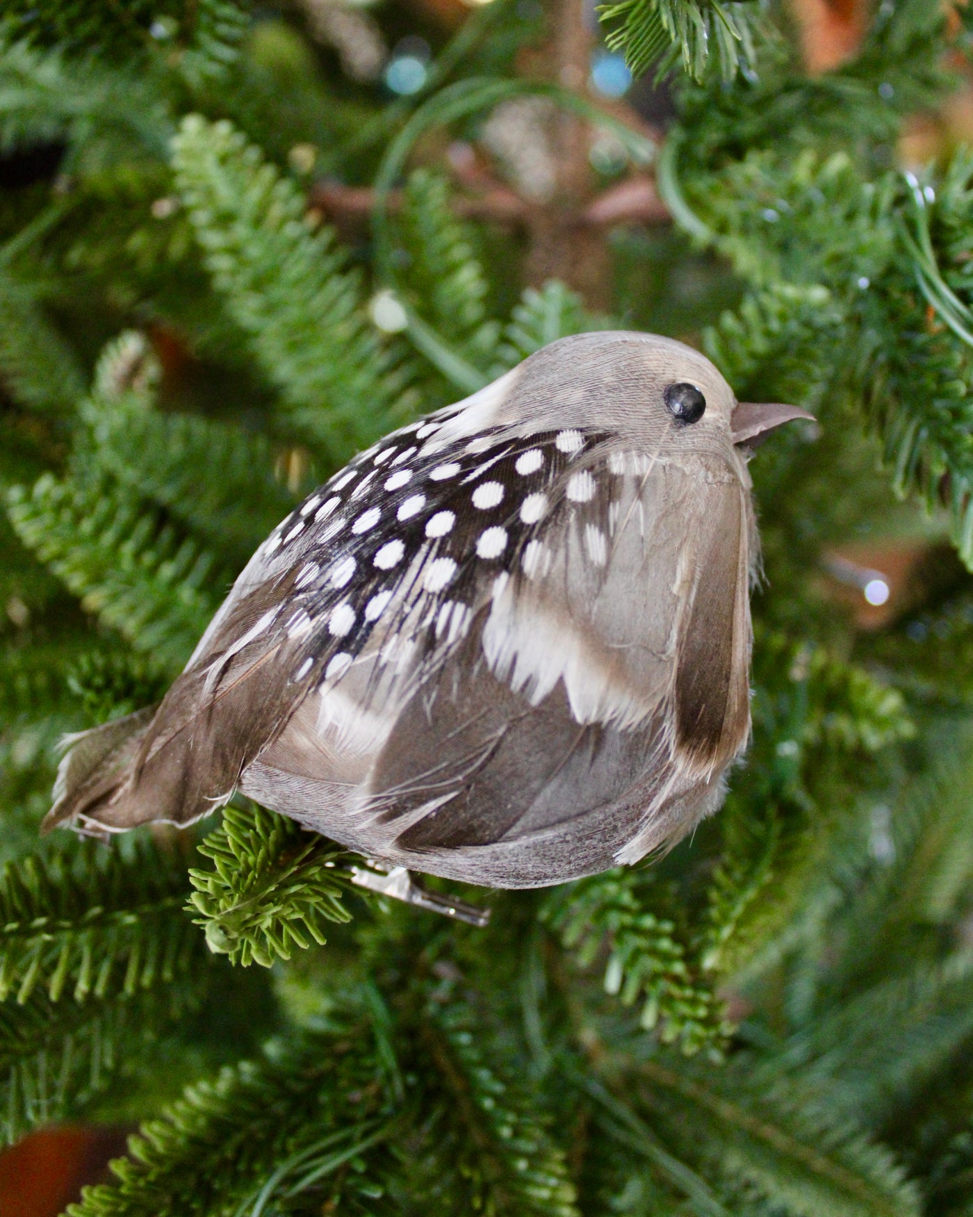 Plump Bird Ornaments