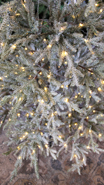 7’ Pre-Lit Frosted Alpine Balsam Fir Tree