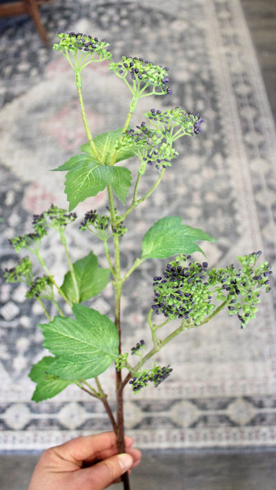 Budding Branch