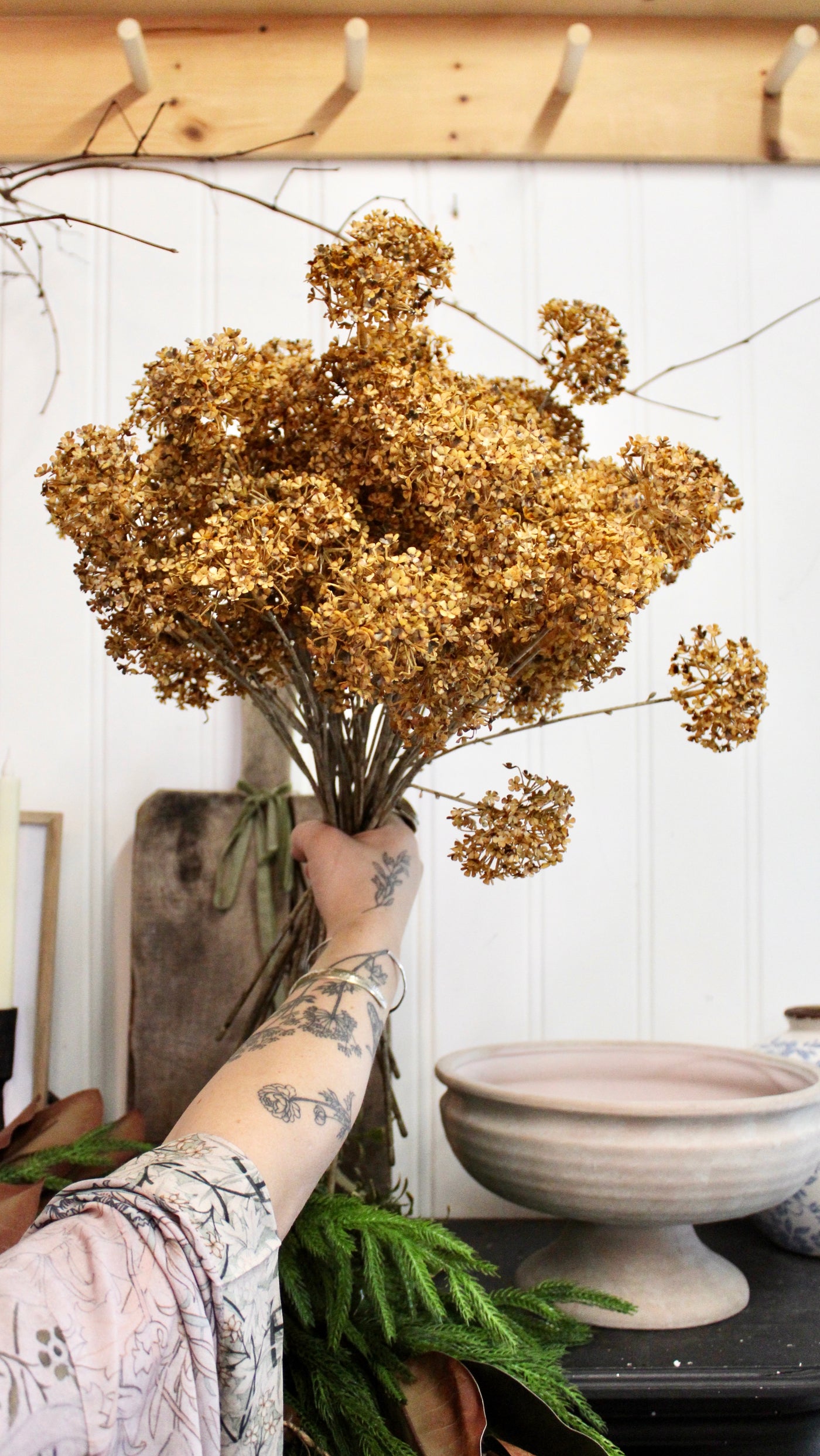 Golden Hydrangea Stem