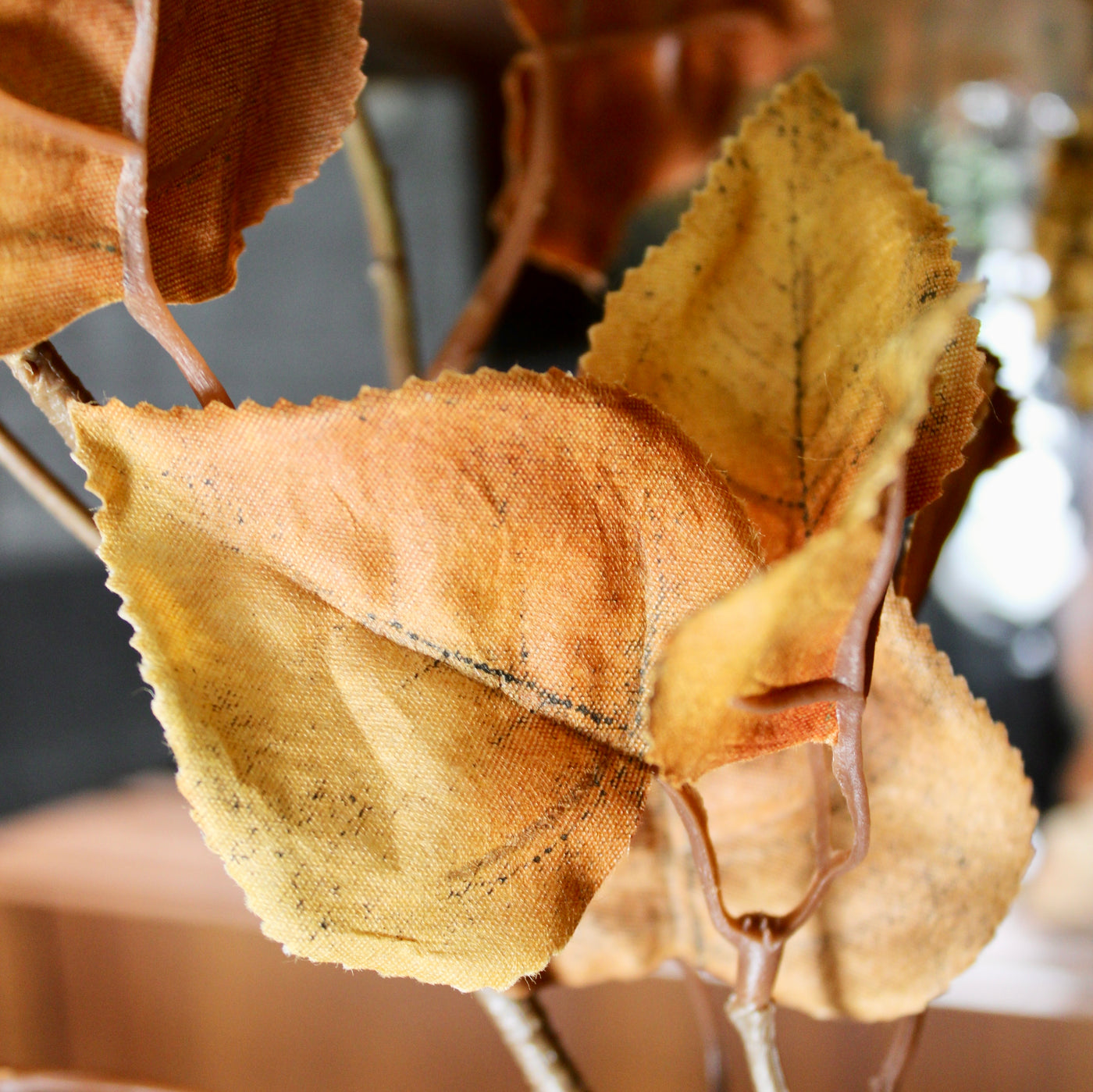 Beech Leaf Branch