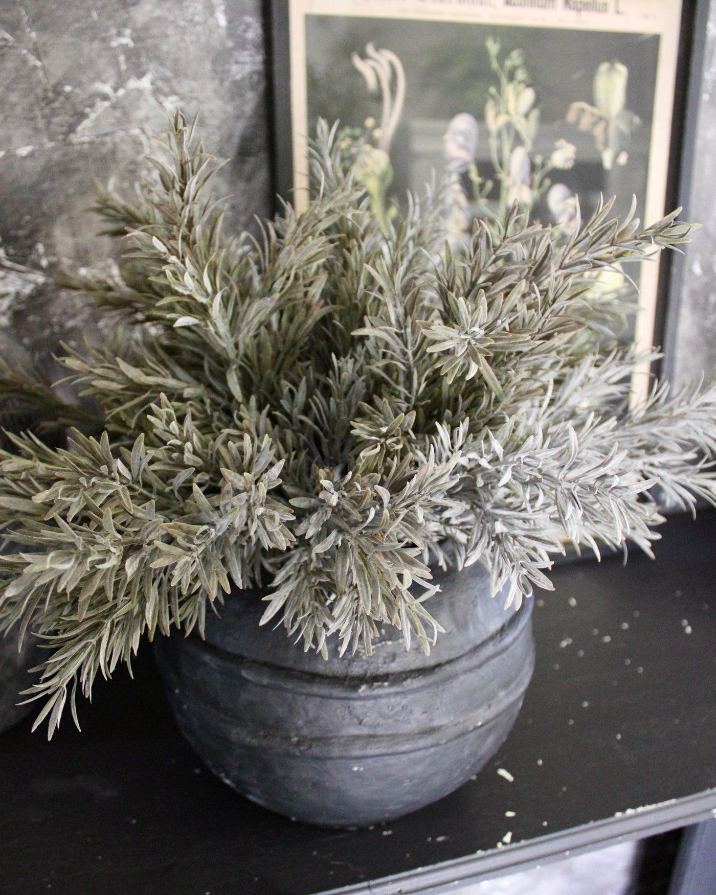 Rosemary “Drop-In”