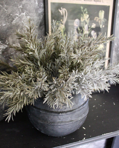 Rosemary “Drop-In”