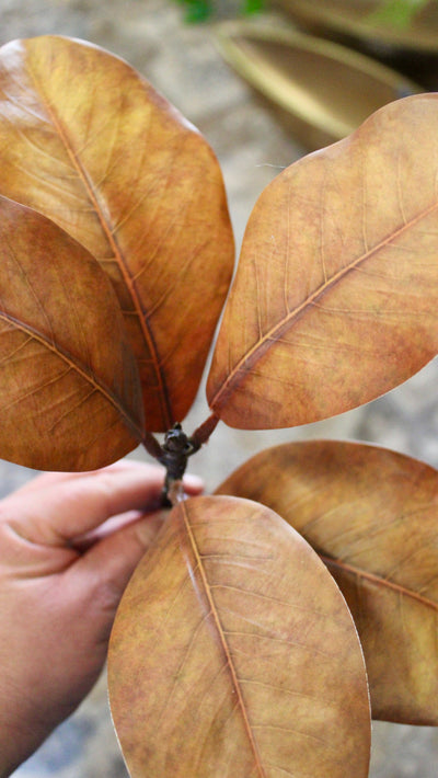 Brown Magnolia Spray