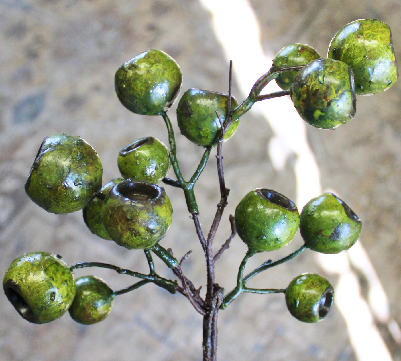 Lychee Pod Branch