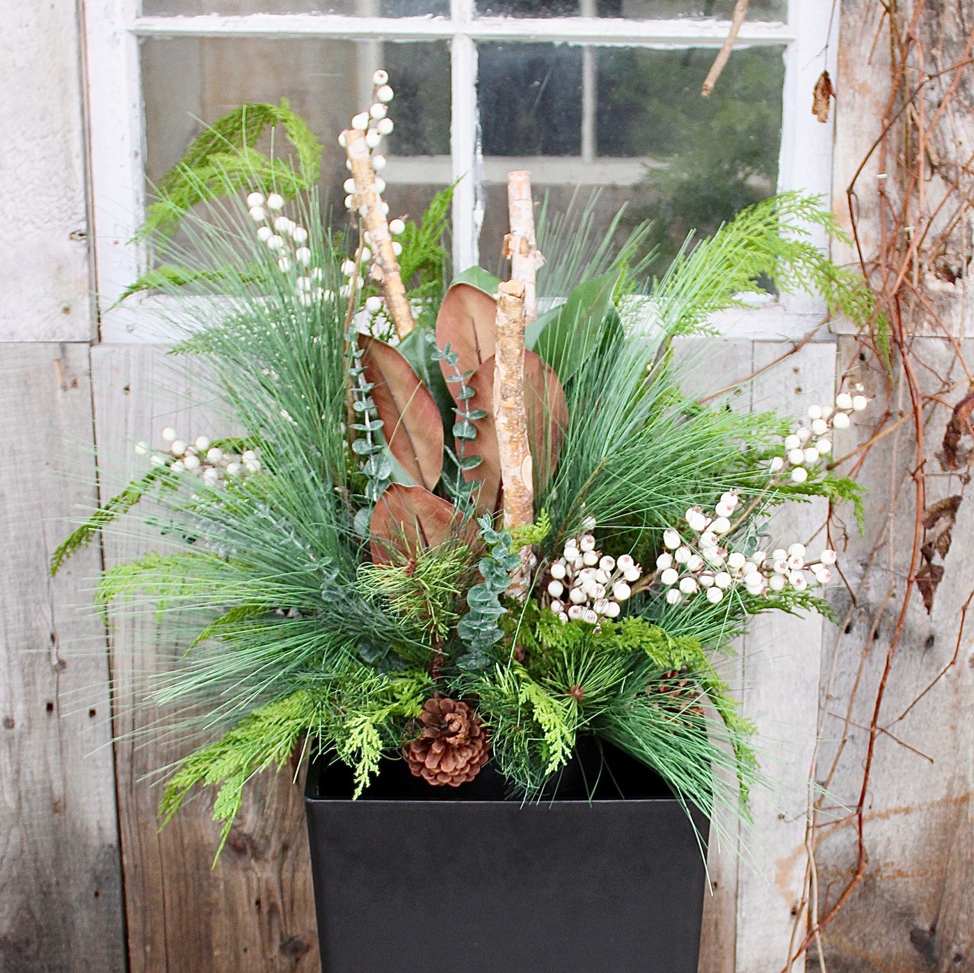 Birch & Berry “Drop-In” Arrangement