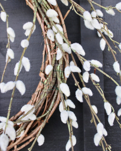 Pussy Willow Wreath