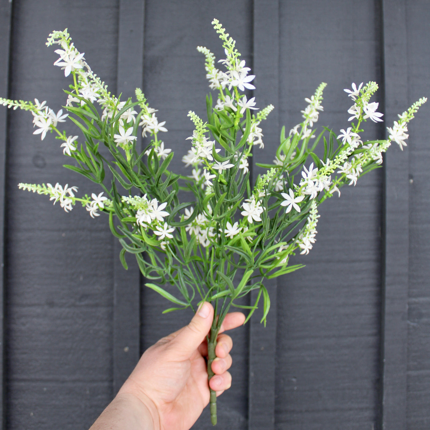 Sweet Veronica Bush White