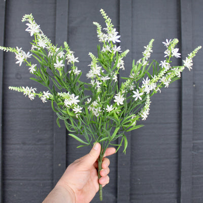 Sweet Veronica Bush White