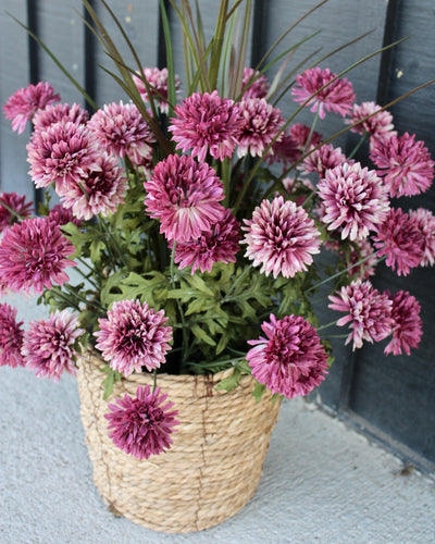 Mauve Mum “Drop-In”