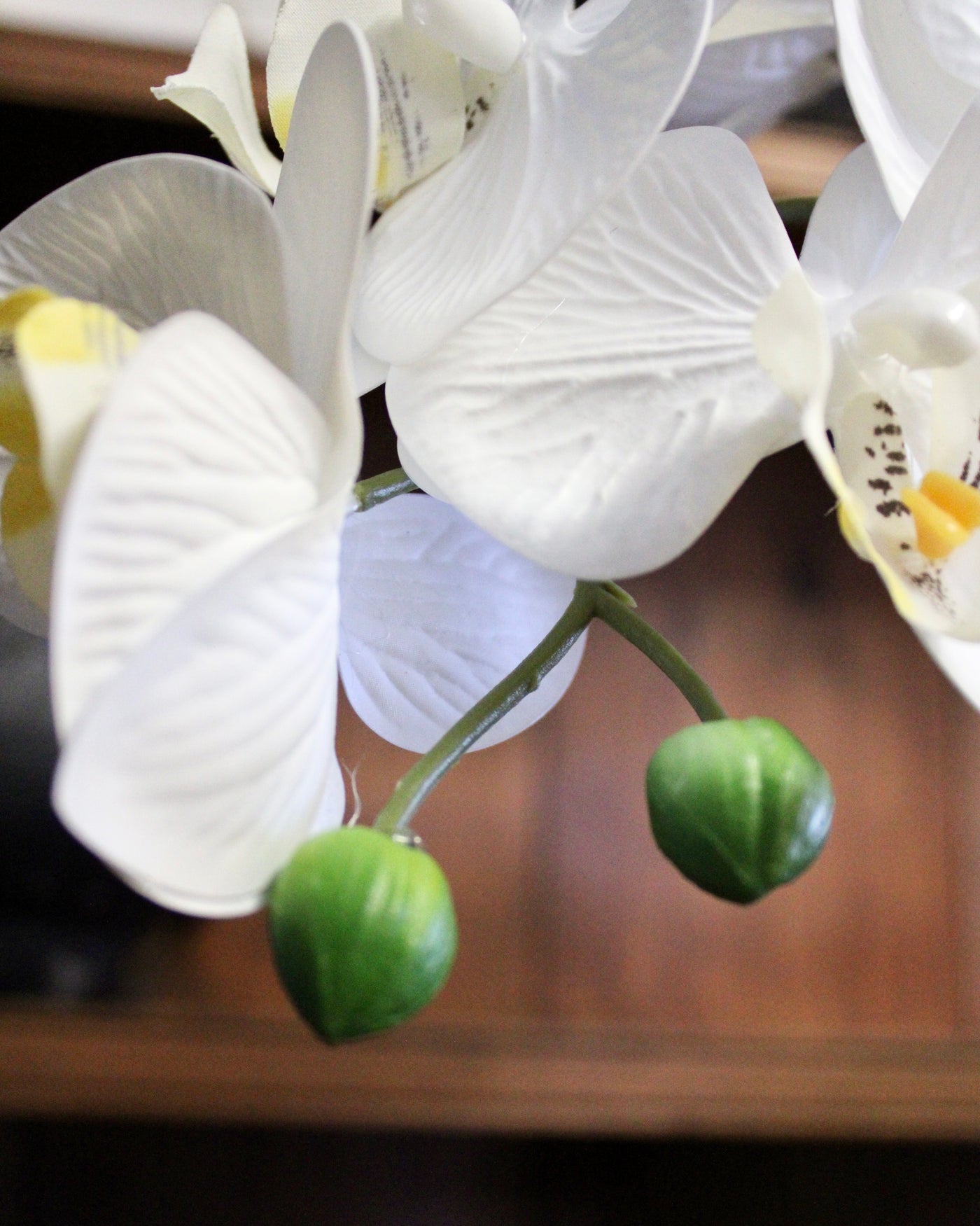 White Natural Touch Phalaenopsis Orchid