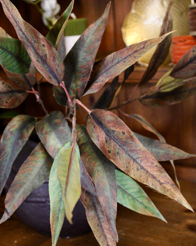 Green/Brown Willow Eucalyptus Spray