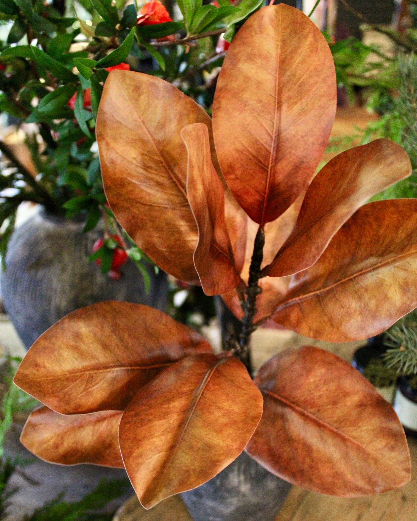 Large Brown Magnolia Spray