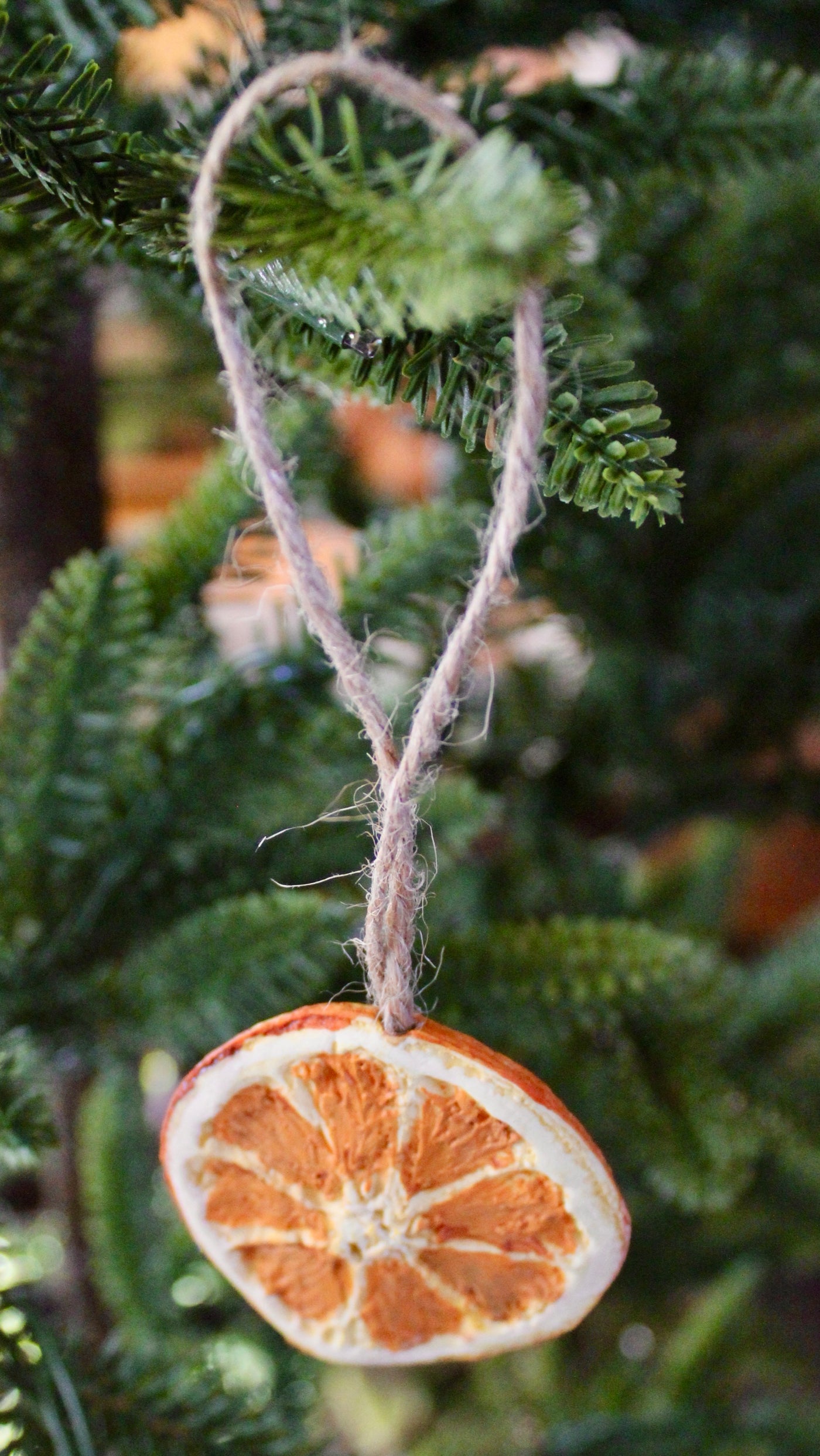 Orange Slice Ornament