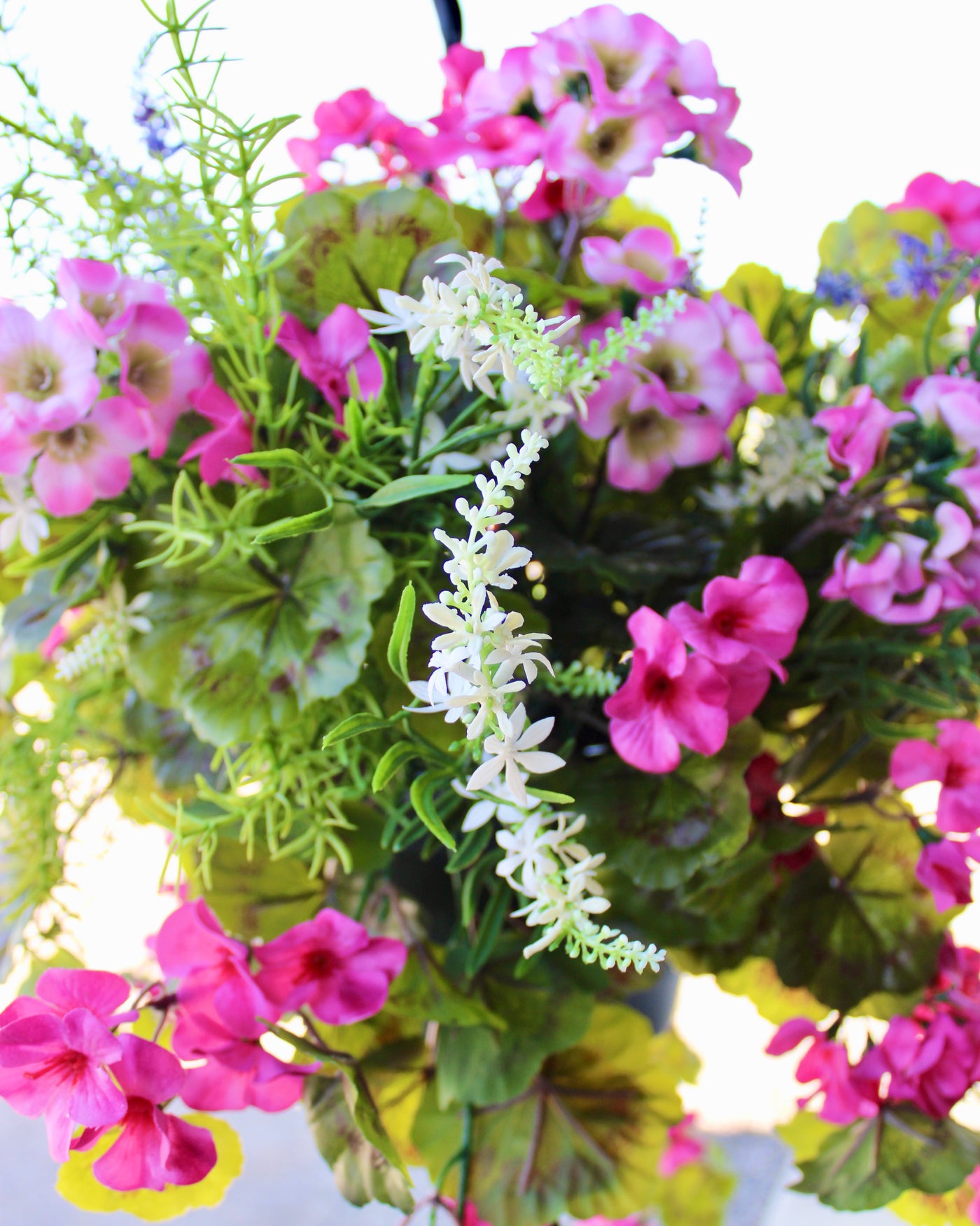 Hanging Basket/Drop-In Pink Purple
