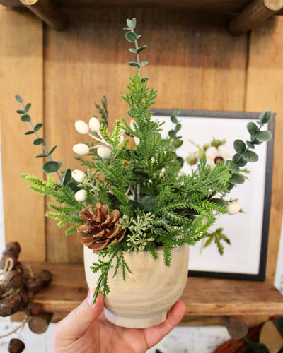 Potted Pine Cone & Cream Hypericum Arrangement