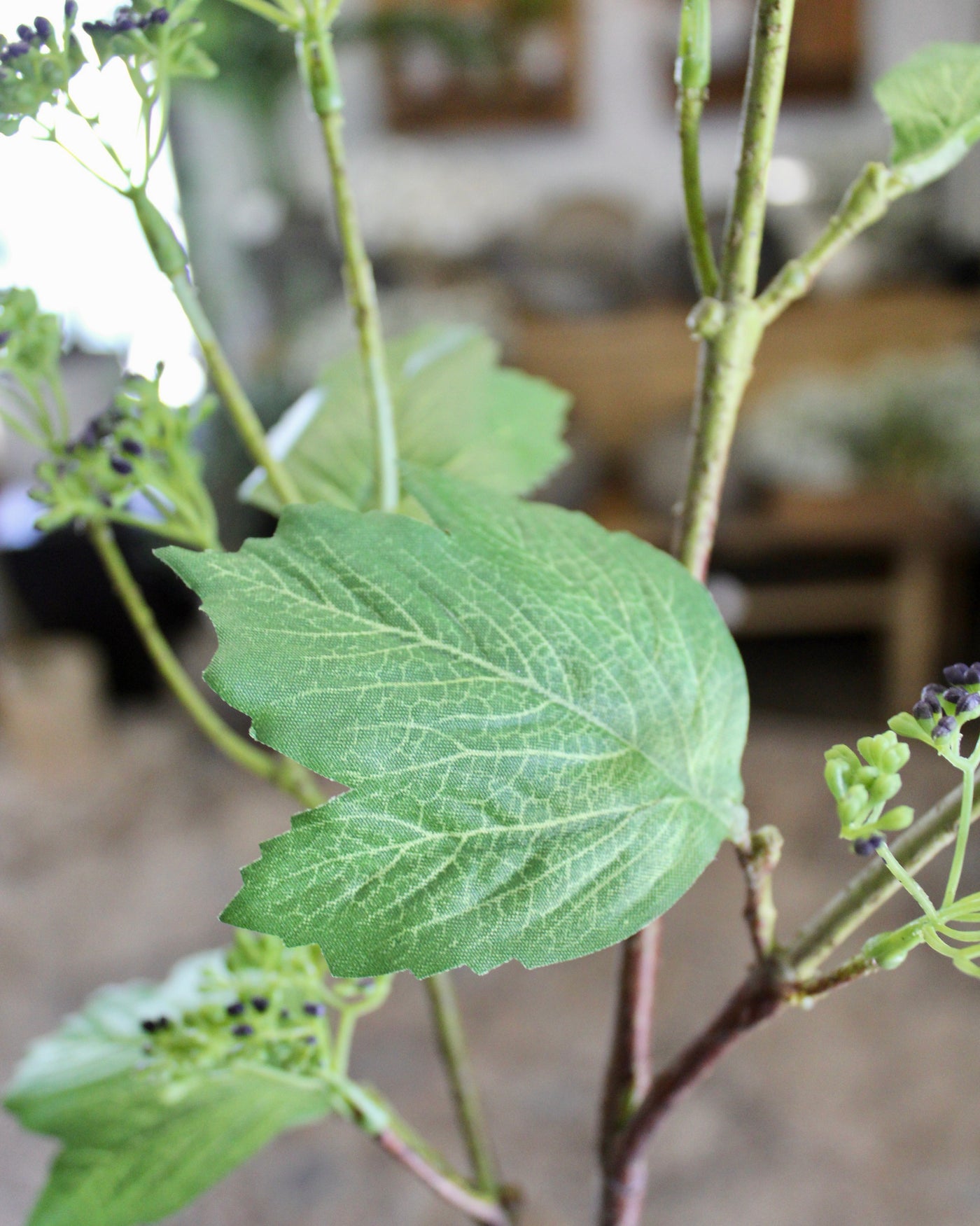 Budding Branch