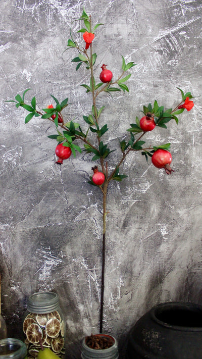 Pomegranate Branch