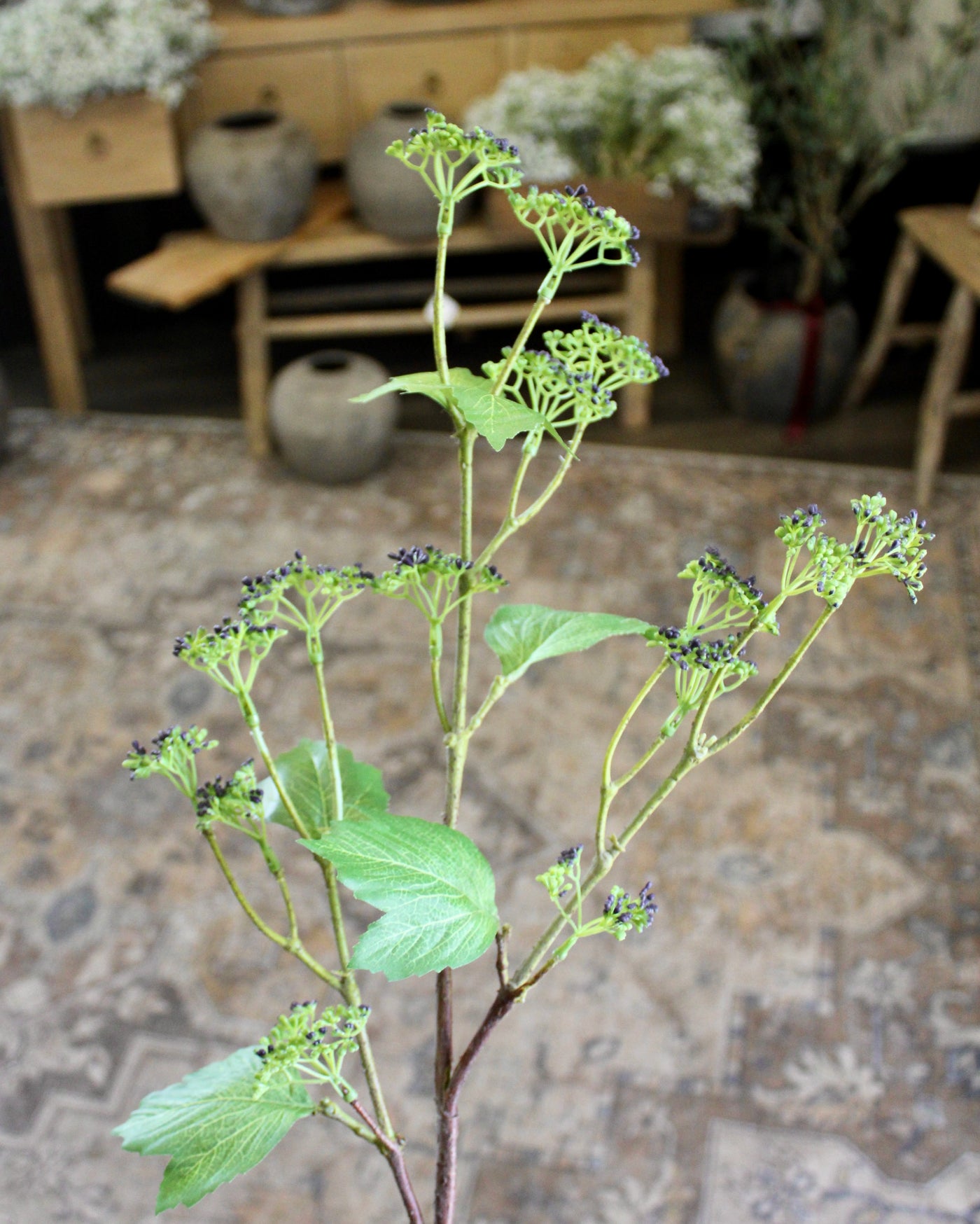 Budding Branch