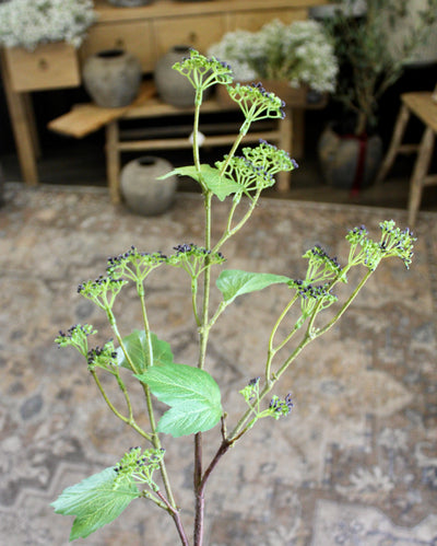 Budding Branch