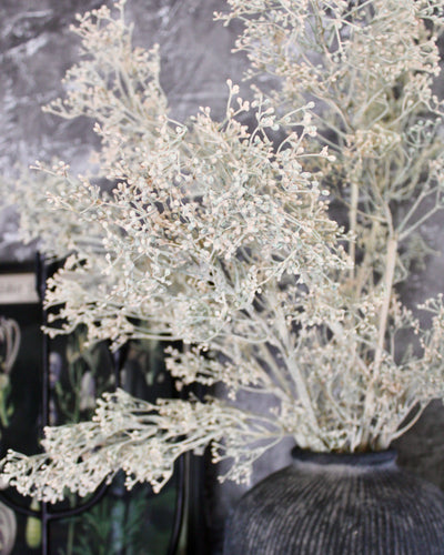Cream Autumn Branch