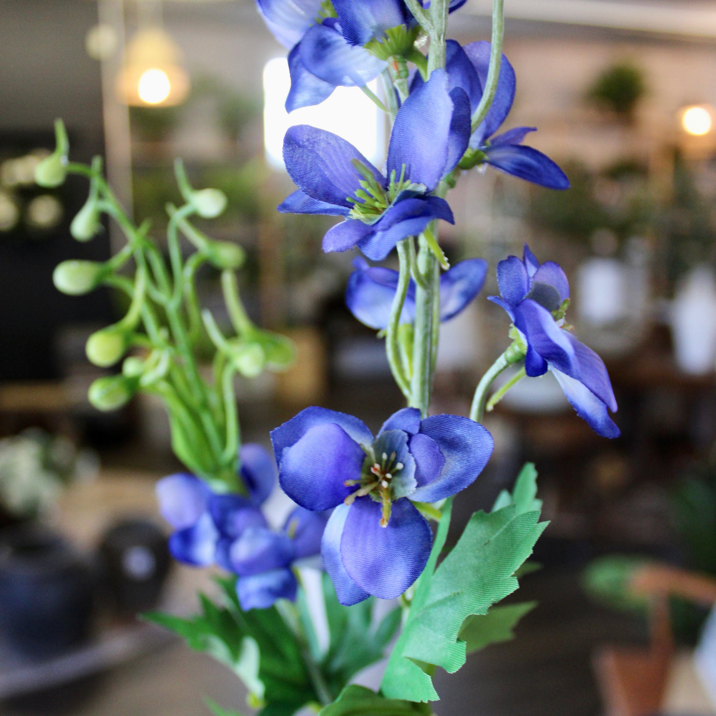 Blue Delphinium Stem