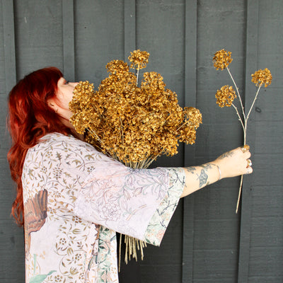 Golden Hydrangea Stem