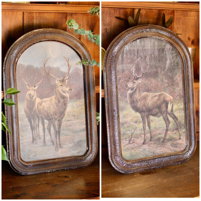 Arched Frame Stag Paintings
