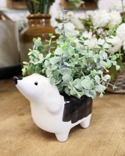 Ceramic Dog Boxwood Arrangement (Piper)