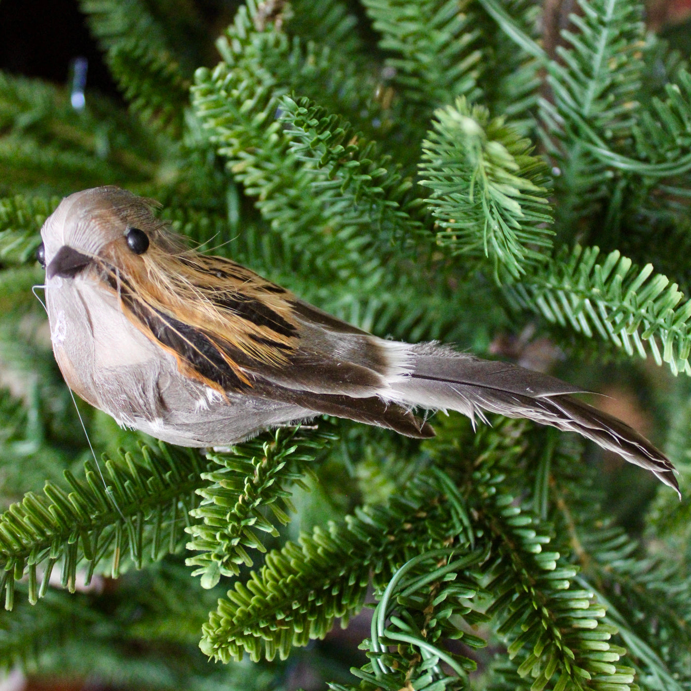 Long Tail Bird Ornaments