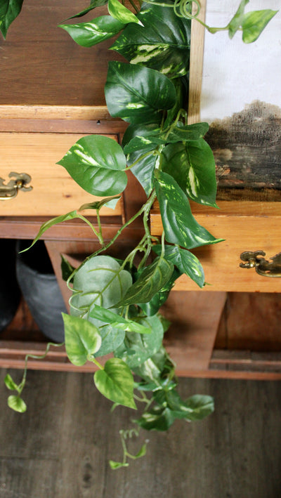 6’ Pothos Garland