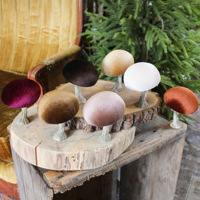 Velvet Mushrooms