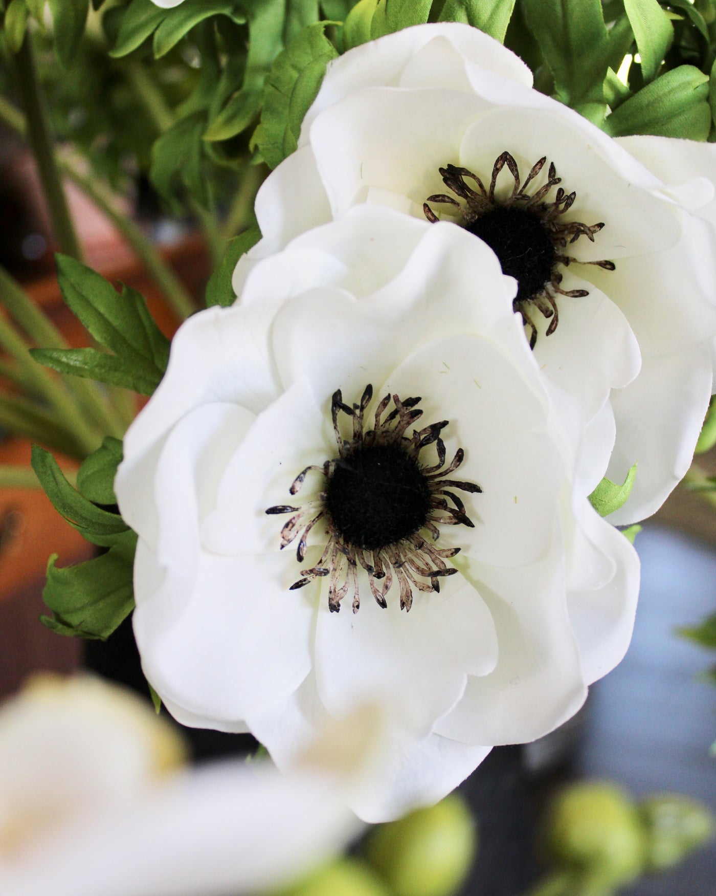 White Anenome Stem