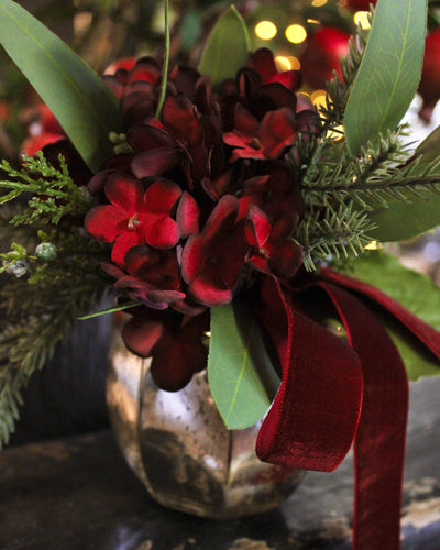 Potted Burgundy Hydrangea Mini Arrangement