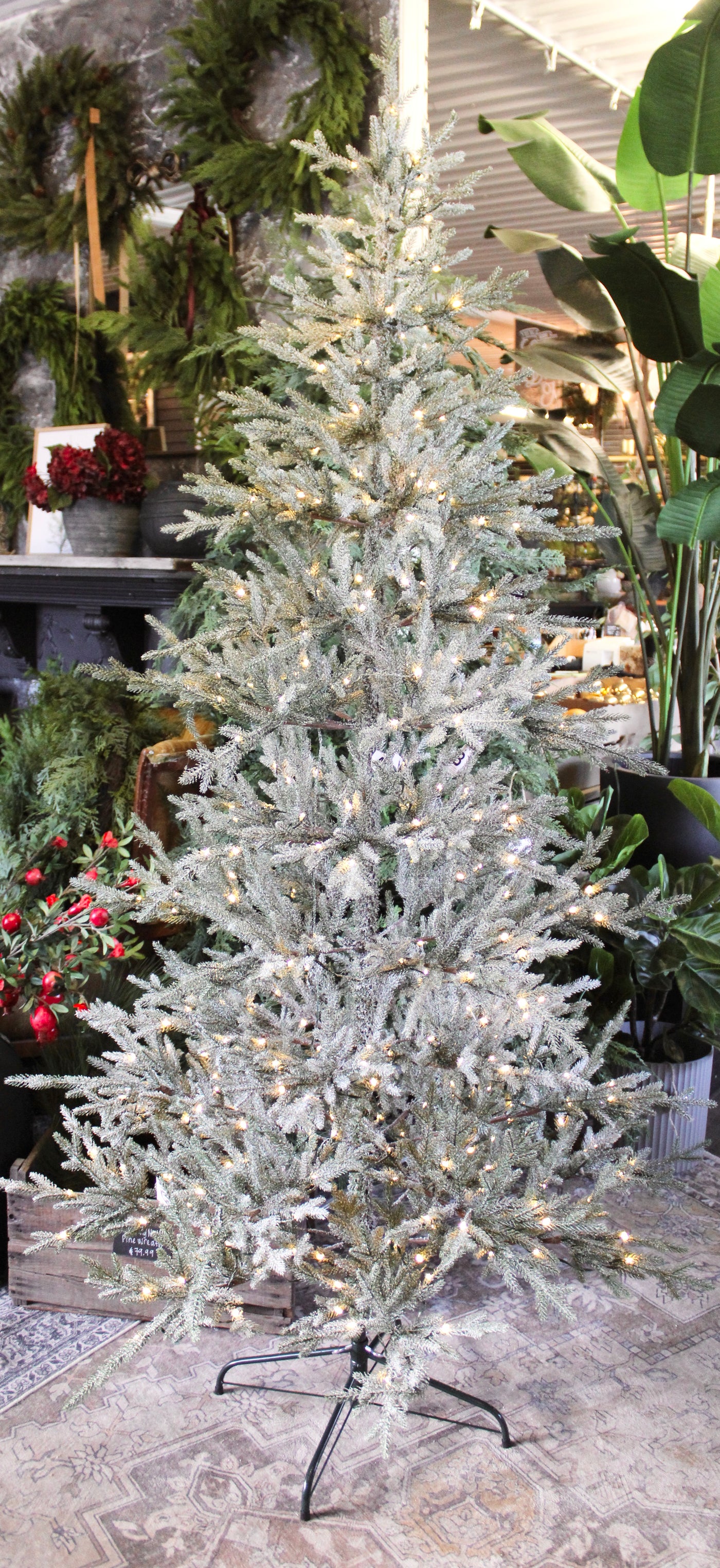 7’ Pre-Lit Frosted Alpine Balsam Fir Tree