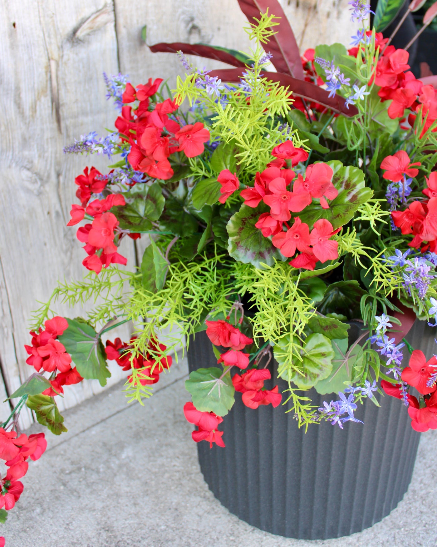 Hanging Basket/Drop-In Red