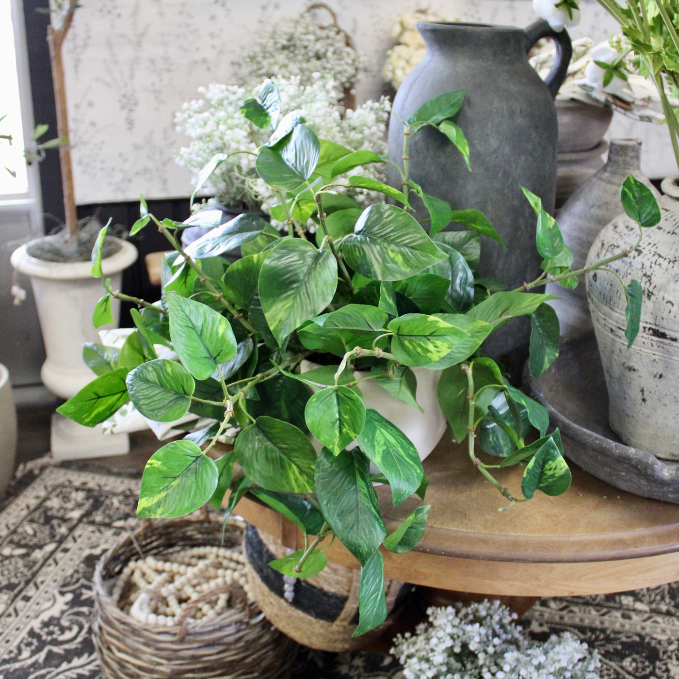 Potted Pothos Hanging Bush