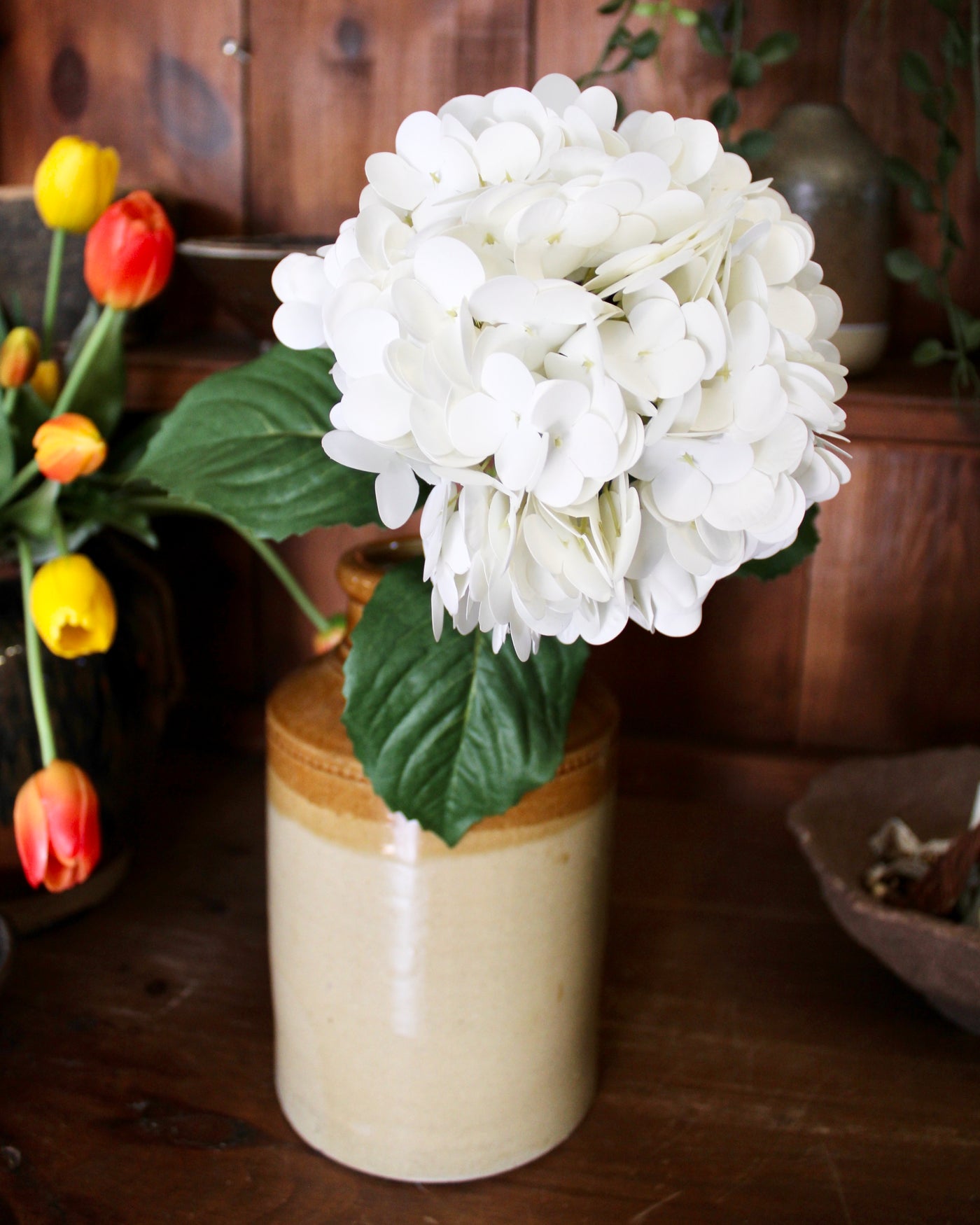 White Hydrangea Stem